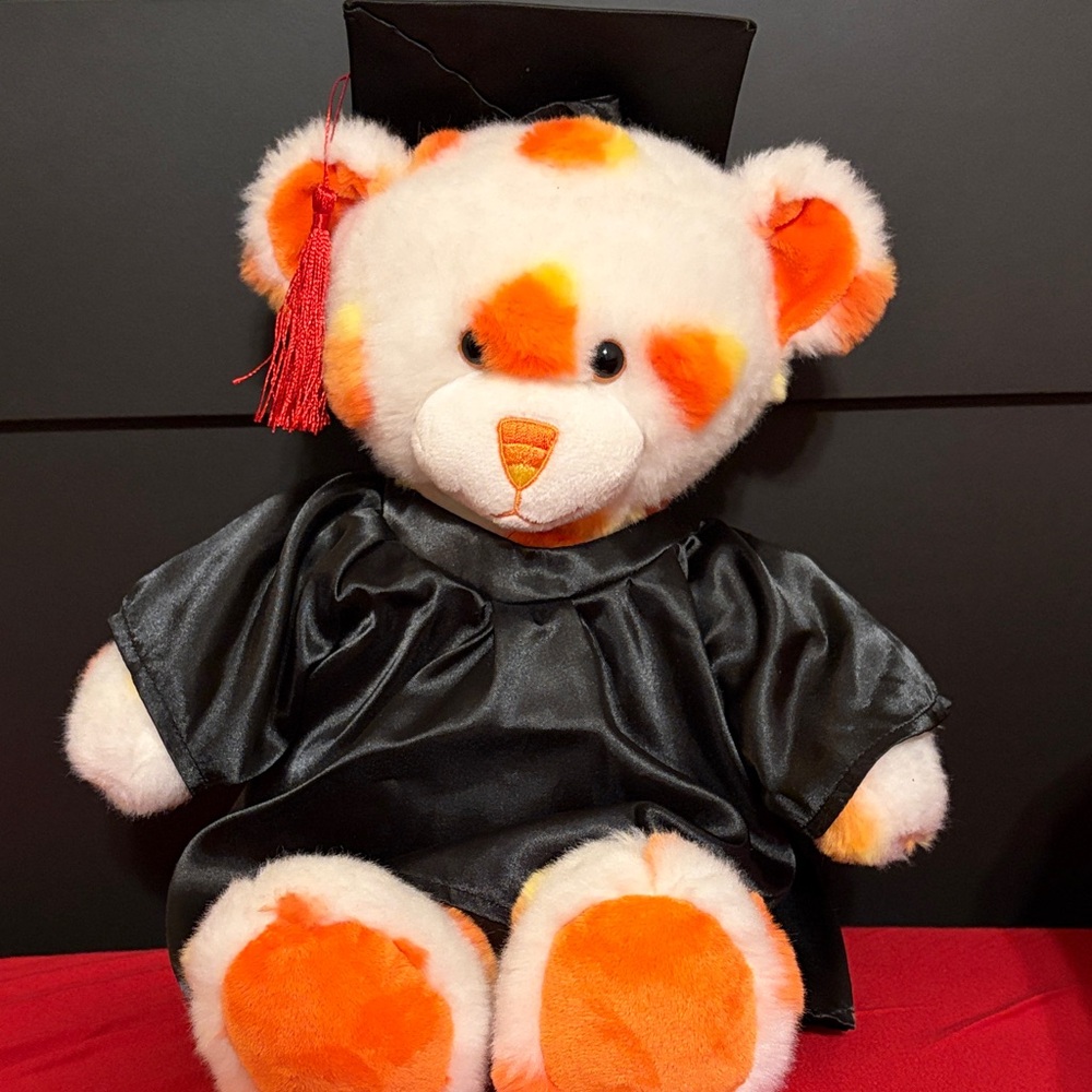 Build A Bear Graduation Cap and Gown